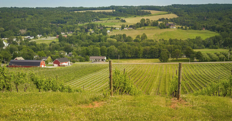 Places to Stay near Gaspereau Vineyards