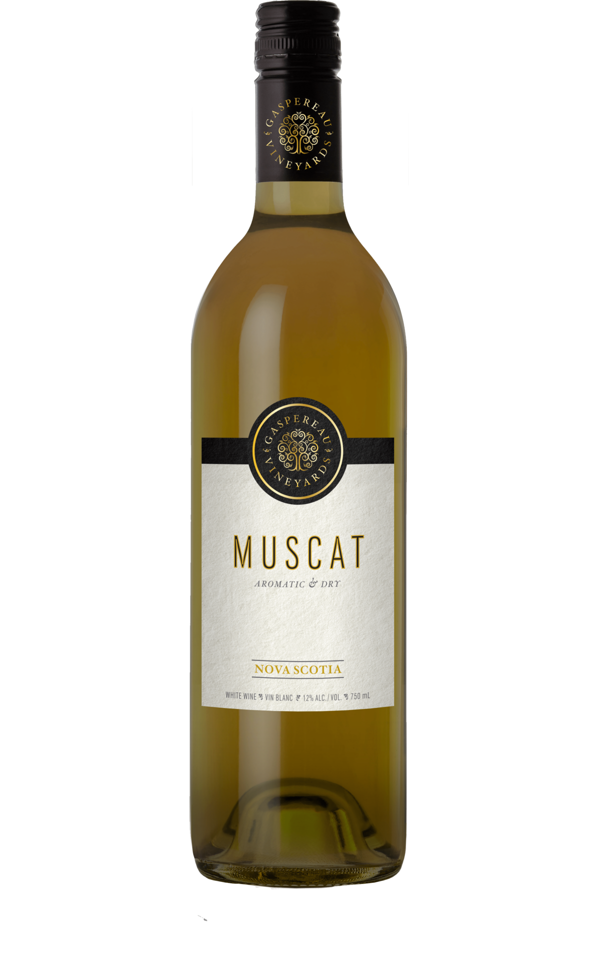 Muscat grape outlet wine